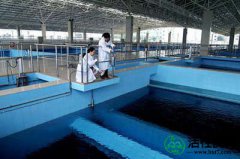【韩研】生物活性炭被用于水净化
