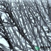 【韩研】活性炭如何制造活性炭纳米纤维