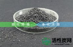 【美源】如何辨别活性炭真假
