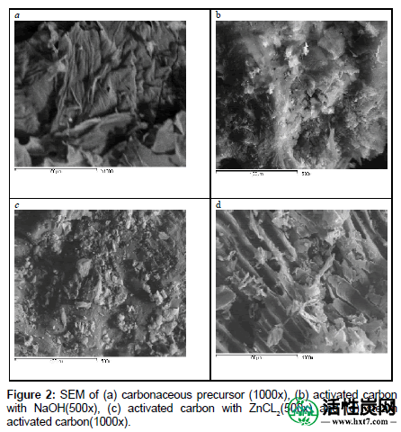 环境解析毒理学活化碳