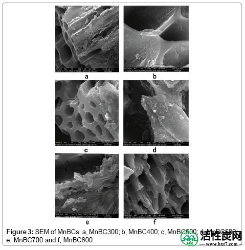 环保 - 分析 - 化学-SEM-MnBCs