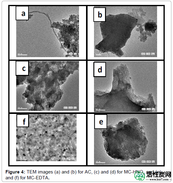 分析-生物分析的技术-TEM图像-MC-EDTA