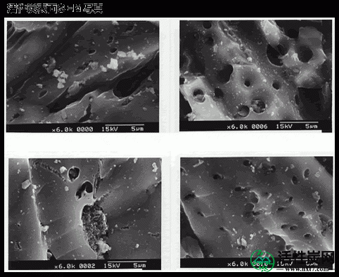 C1净水器活性炭表面的SEM照片