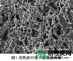 图1活性炭的电子显微镜图像