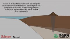 【新闻】地壳石灰岩平台为地球的许多弧形火山提供碳