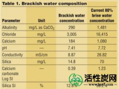 【副产品】最大限度地减少海水淡化厂的剔除盐水