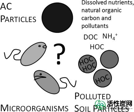 包含图片，插图等的外部文件。对象名称为es-2011-043905_0001.jpg