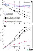【知识】用生物炭促进种间电子转移