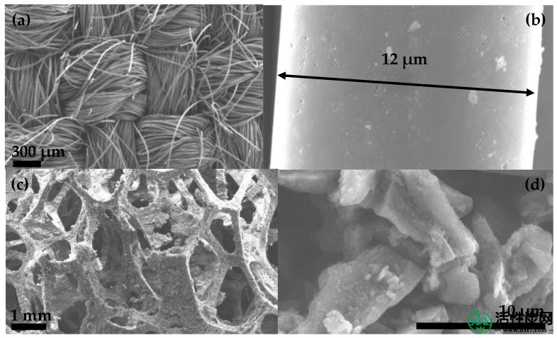 包含图片，插图等的外部文件。对象名称为toxins-10-00137-g004.jpg