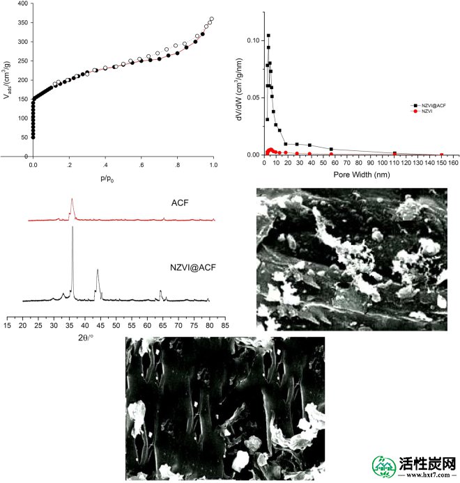 包含图片，插图等的外部文件。对象名称为41598_2018_29014_Fig4_HTML.jpg