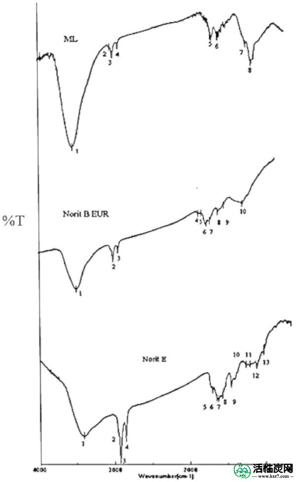 包含图片，插图等的外部文件。对象名称为40064_2013_829_Fig2_HTML.jpg