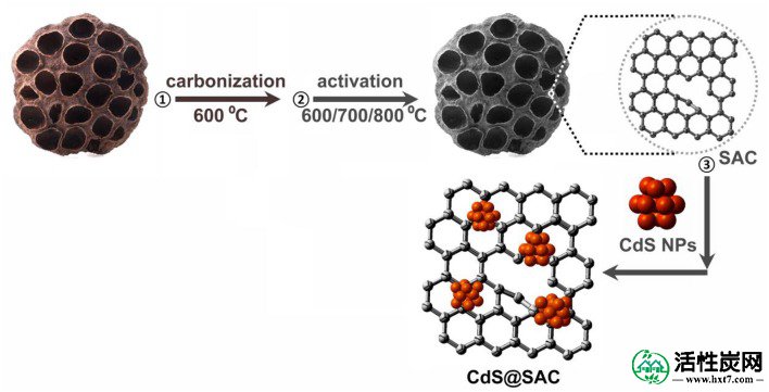 包含图片，插图等的外部文件。对象名称为fchem-05-00123-g0009.jpg