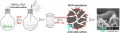 【知识】BiOI /活性炭的微观和纳米层次结构，用于有效的可见光 - 光催化反应