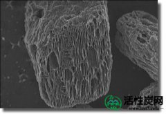 【科普】活性炭之谜：活性炭分类