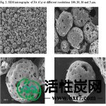 图2.不同分辨率100,20,10和5μm的FA（C3）的SEM显微照片。