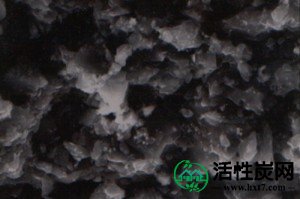 <a href='http://www.hxt7.com' target='_blank'><u>活性炭</u></a>成分显微镜下的图片
